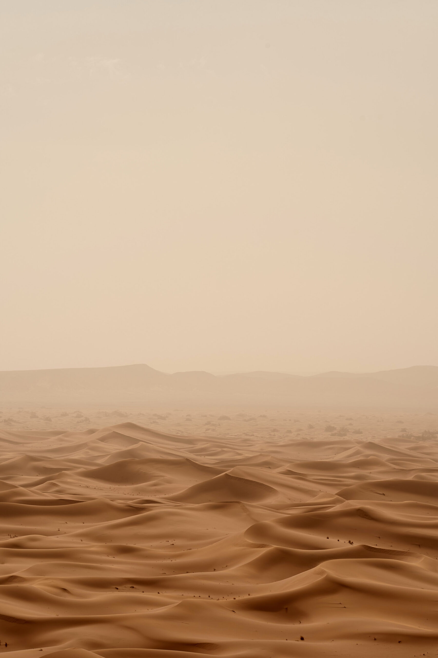 Wolfgang Hasselmann - Photo de desert from Unsplash