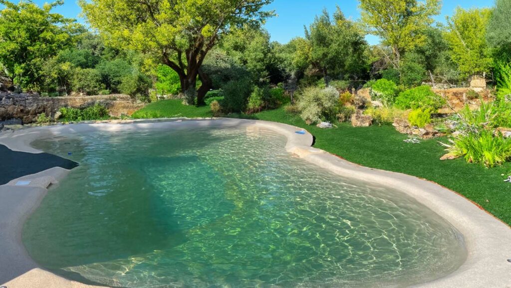 Une piscine lagon réalisée par Lagoon Piscines